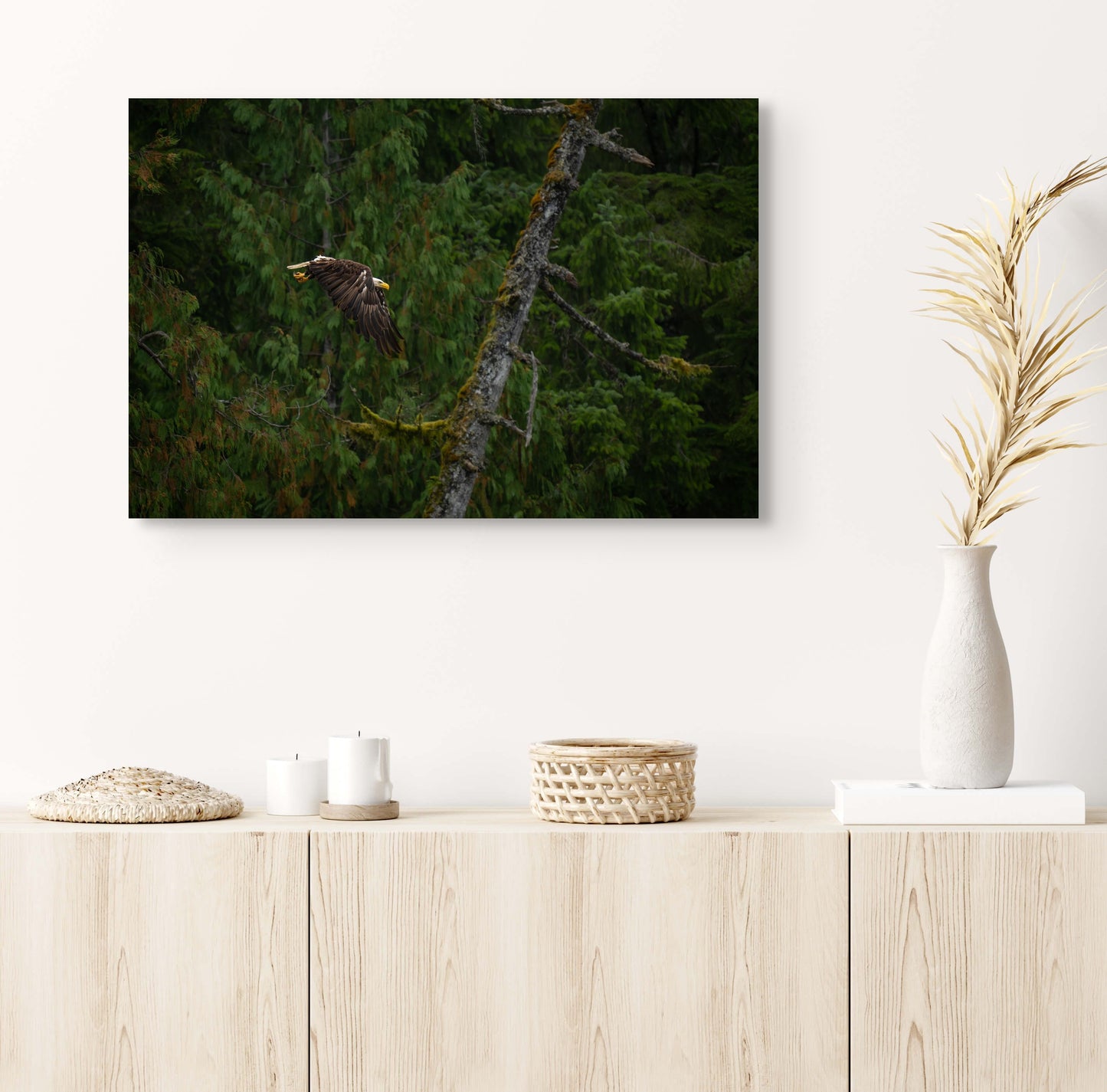 Bald Eagle Flies Past Dead Tree