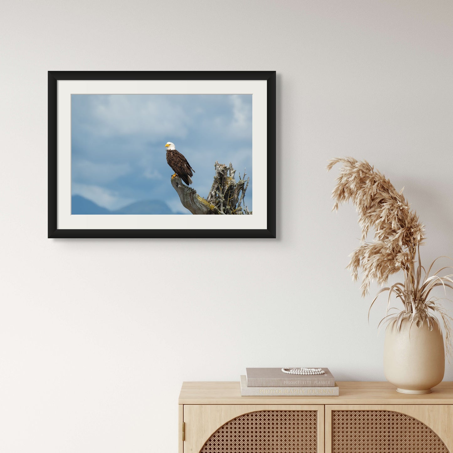 Bald Eagle and Stormy Sky