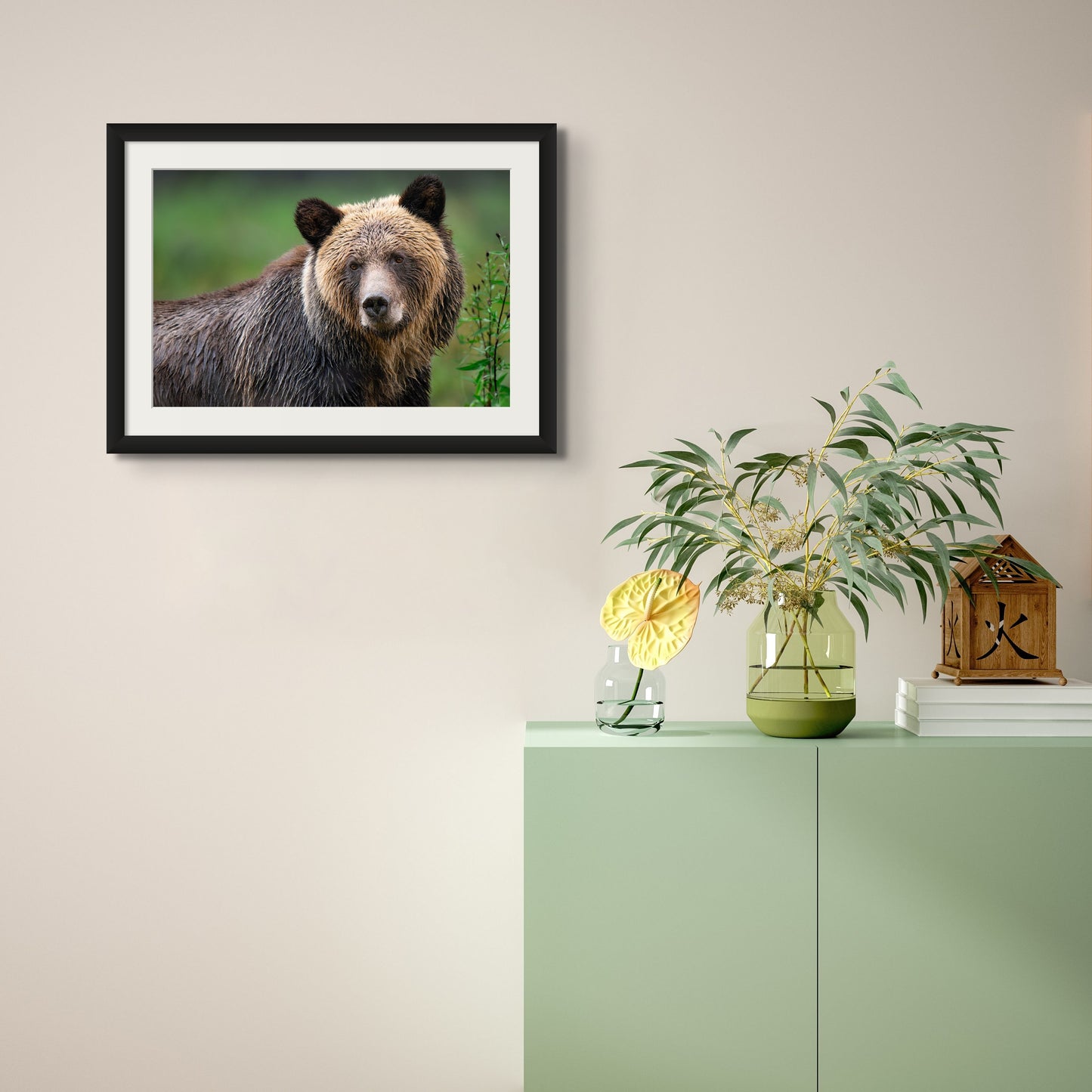 Grizzly Portrait with Green Background