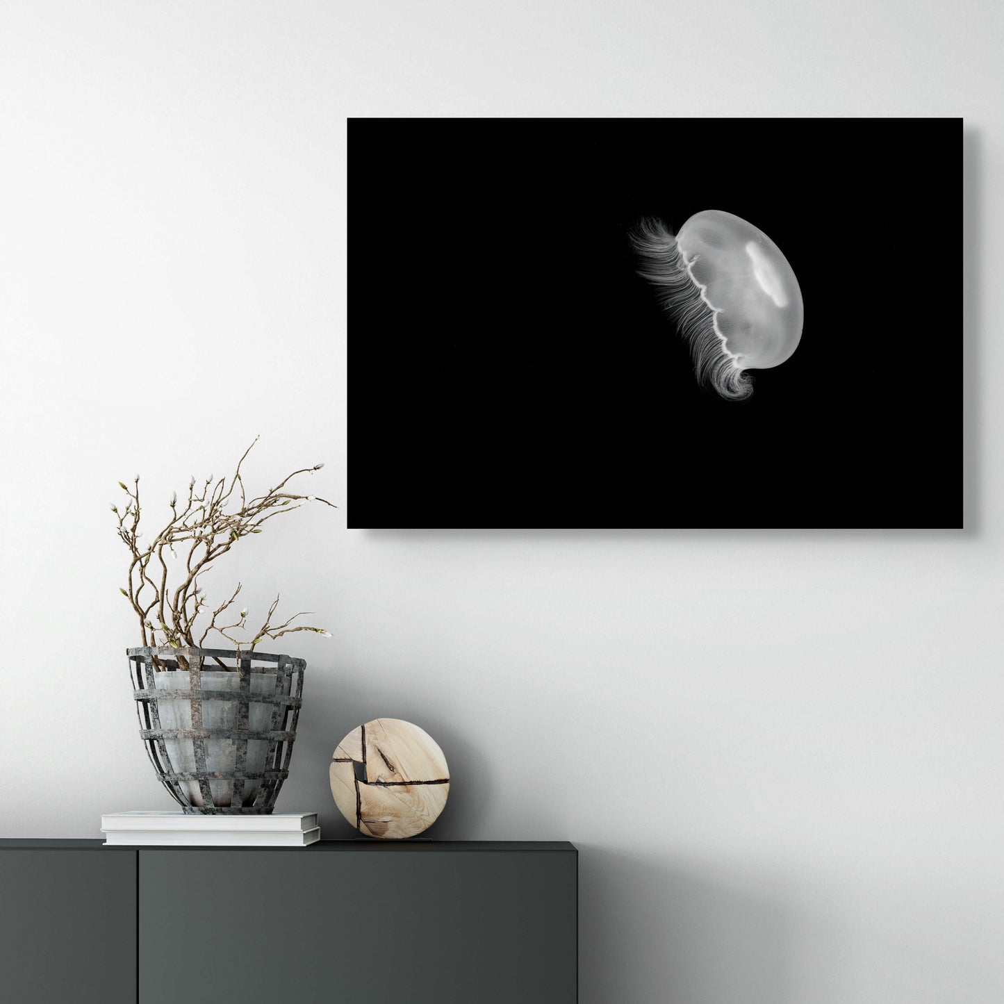 Moon Jelly