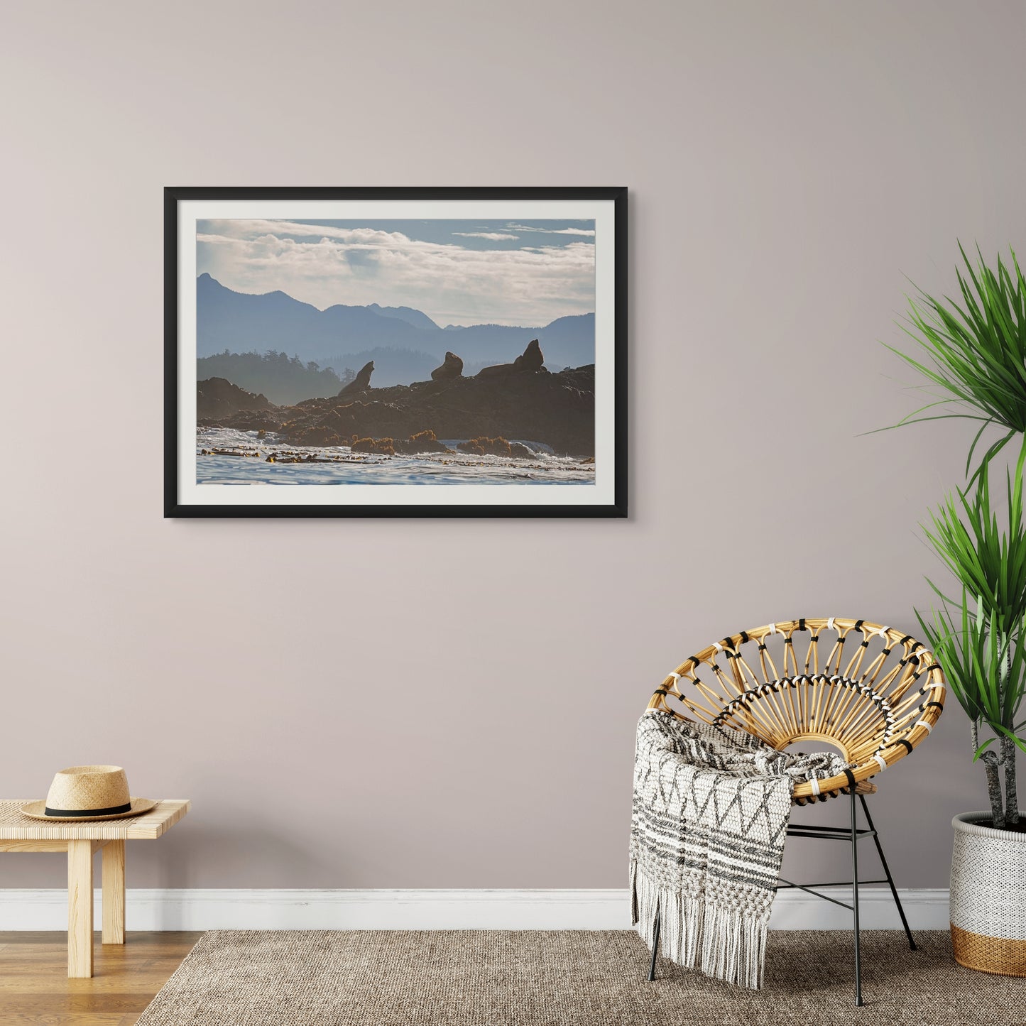 Sea Lions Barking at the Mountains