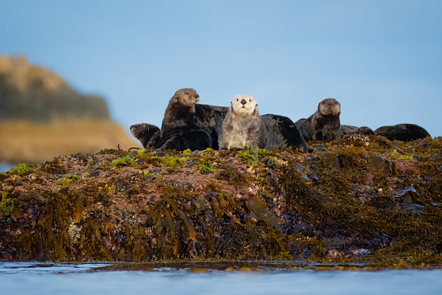 Raft on the Rocks