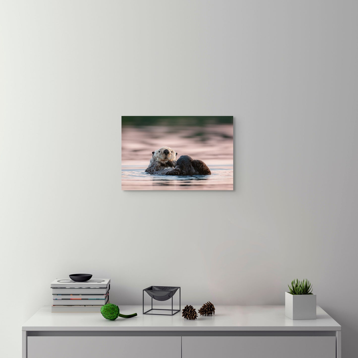 Sea Otter and Sunset Colour