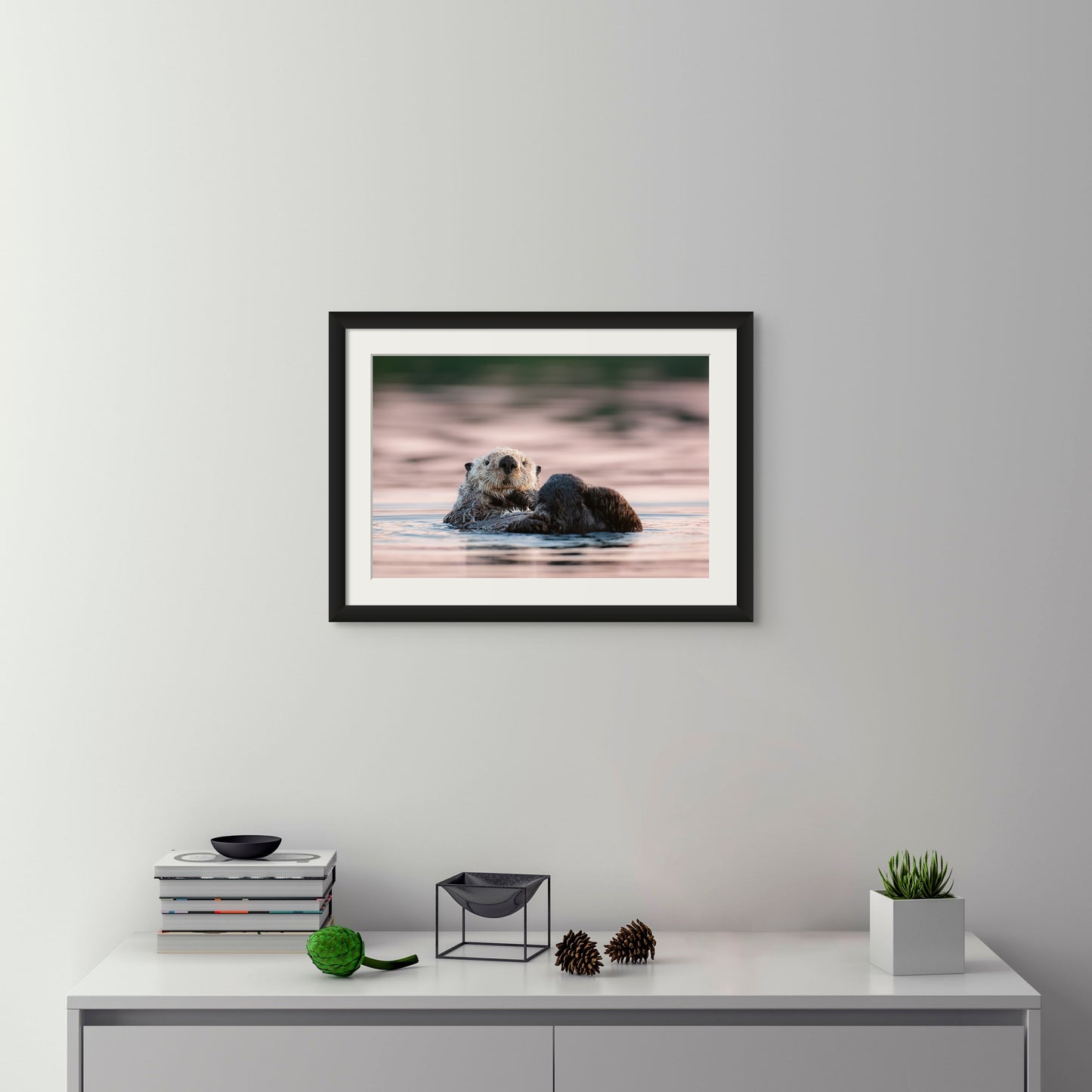 Sea Otter and Sunset Colour