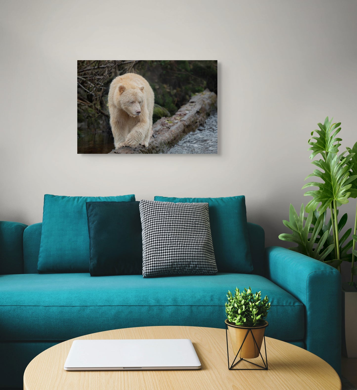 Spirit Bear Springboard