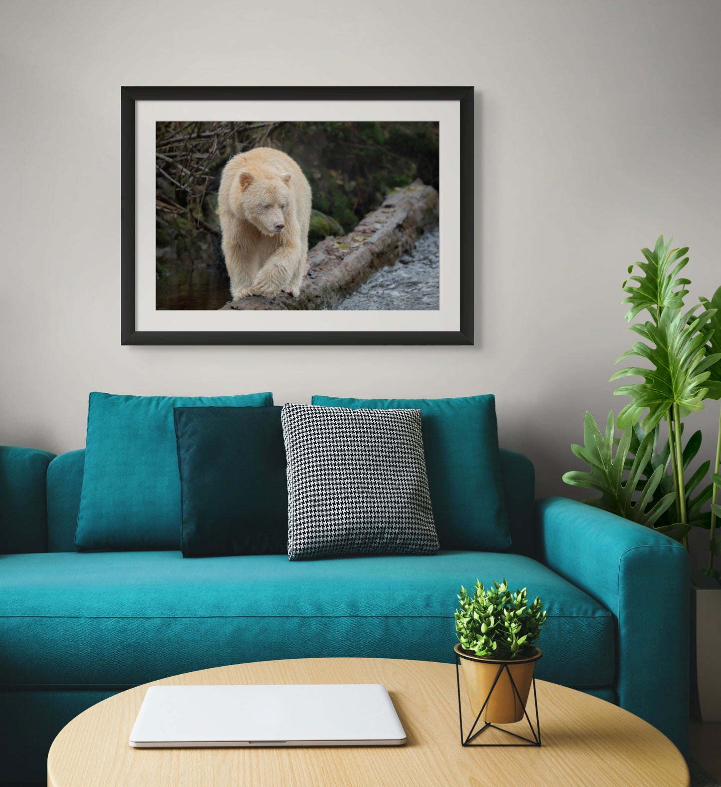 Spirit Bear Springboard