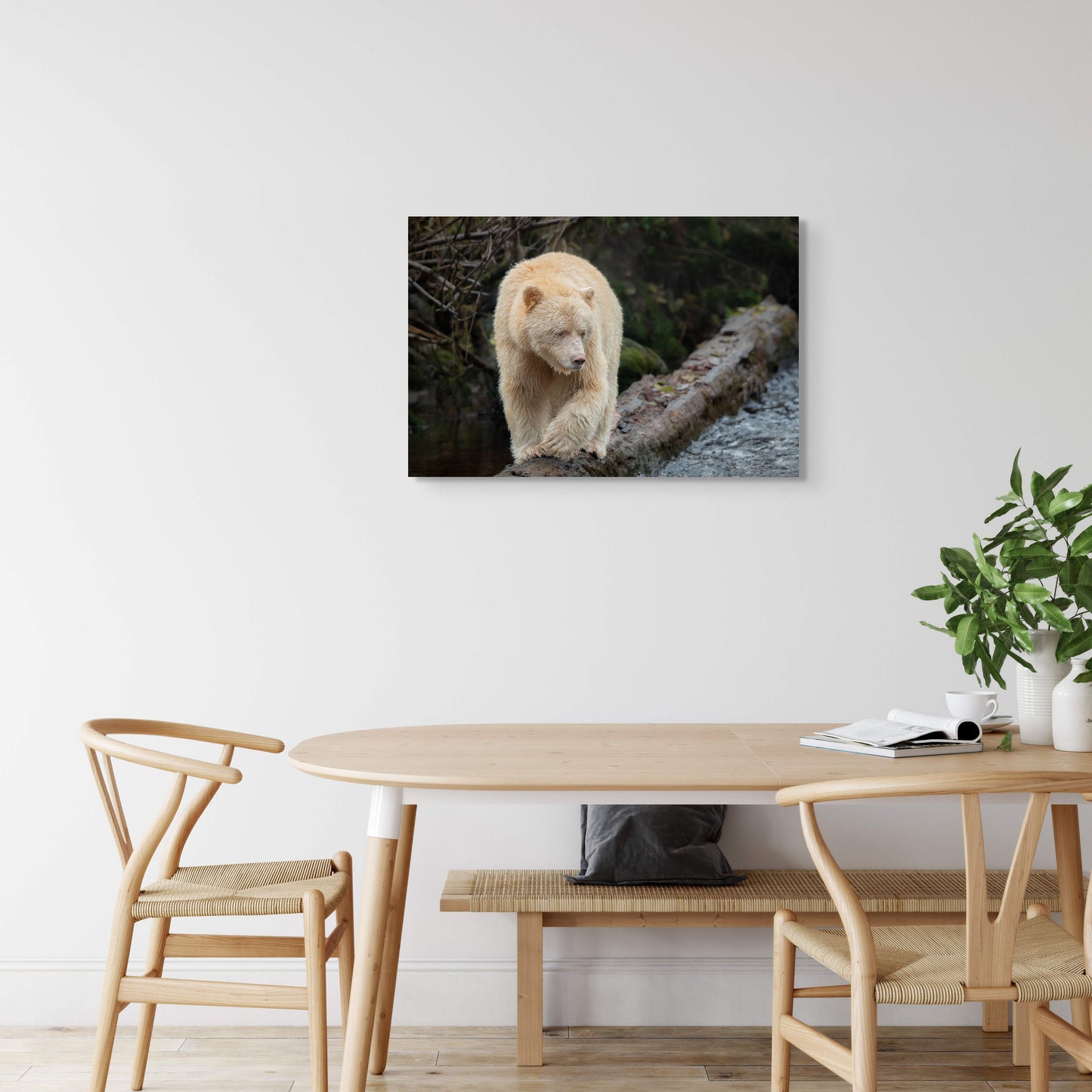 Spirit Bear Springboard