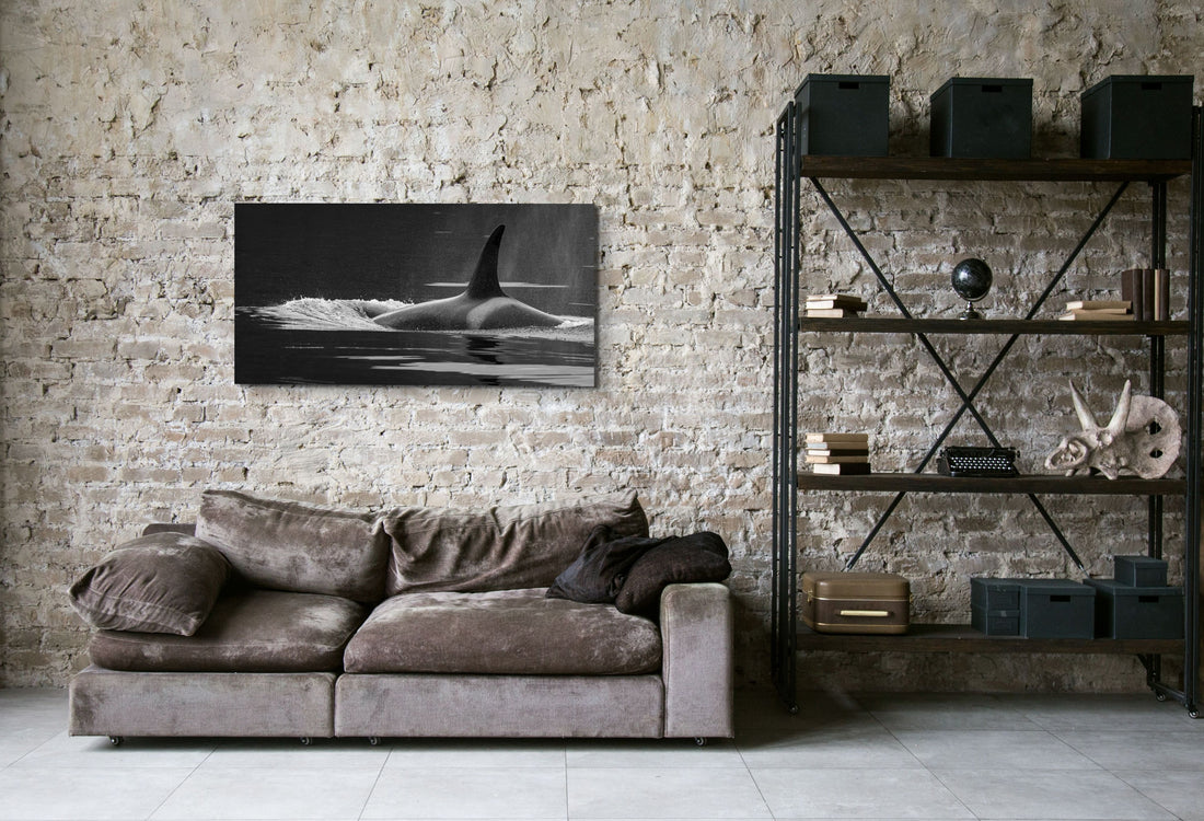 Using Fine Art Nature Photographic Prints To Decorate A Rental Suite