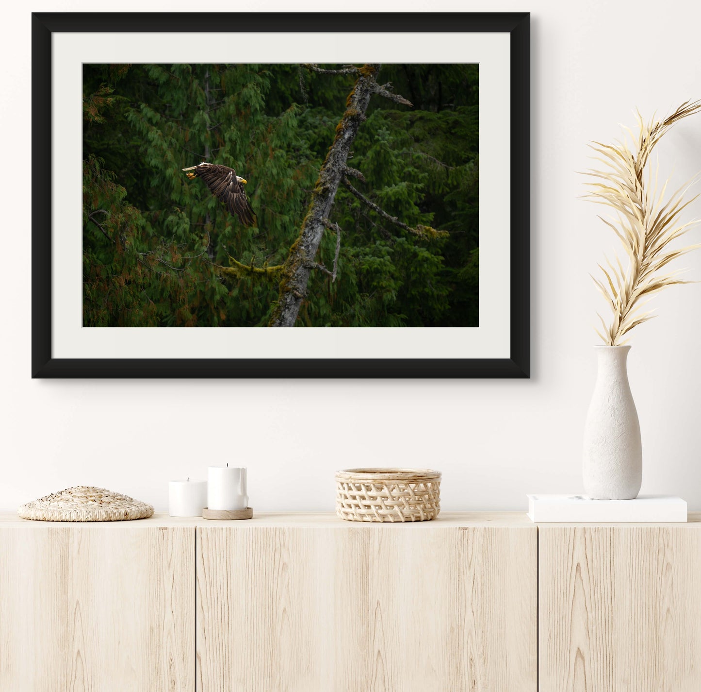 Bald Eagle Flies Past Dead Tree