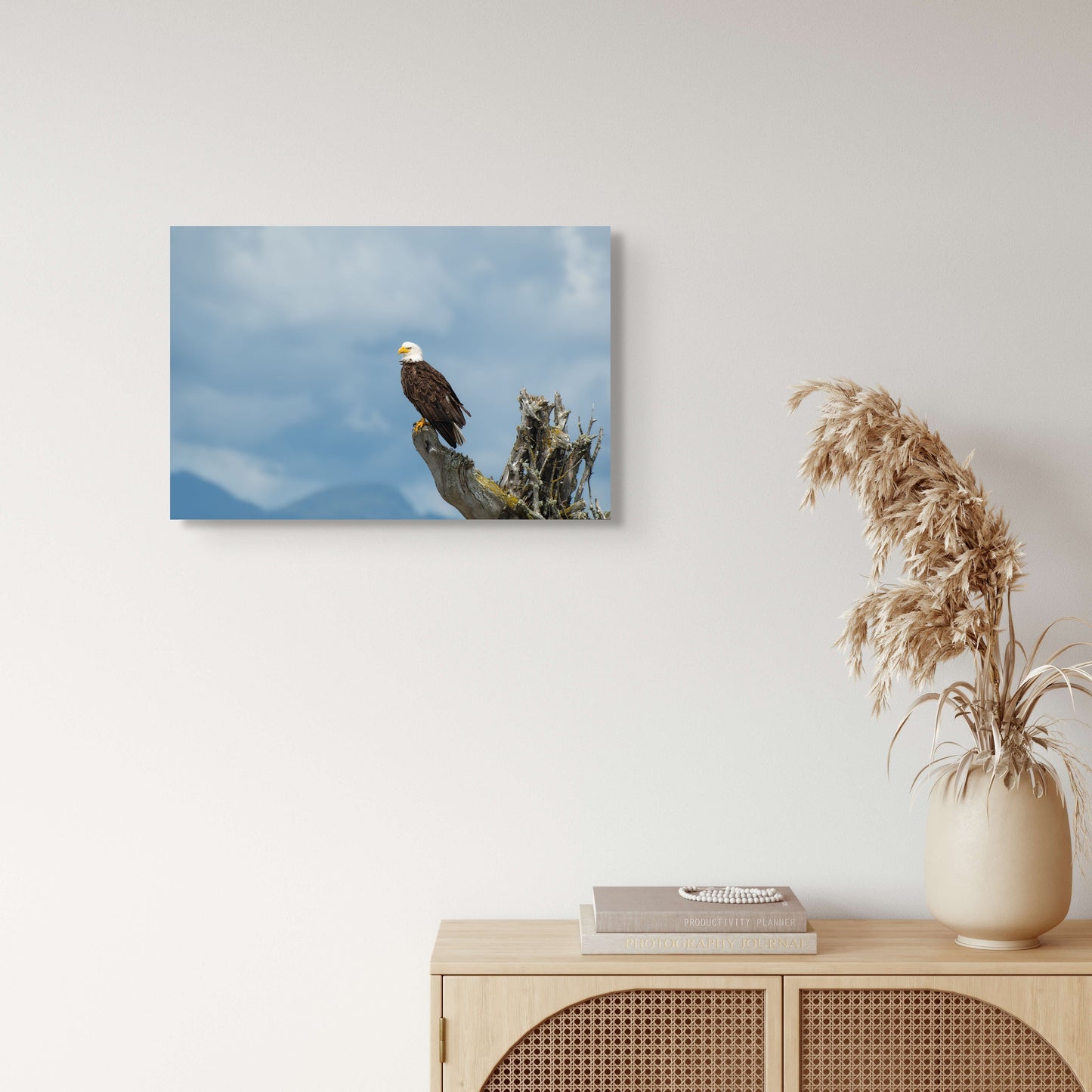 Bald Eagle and Stormy Sky