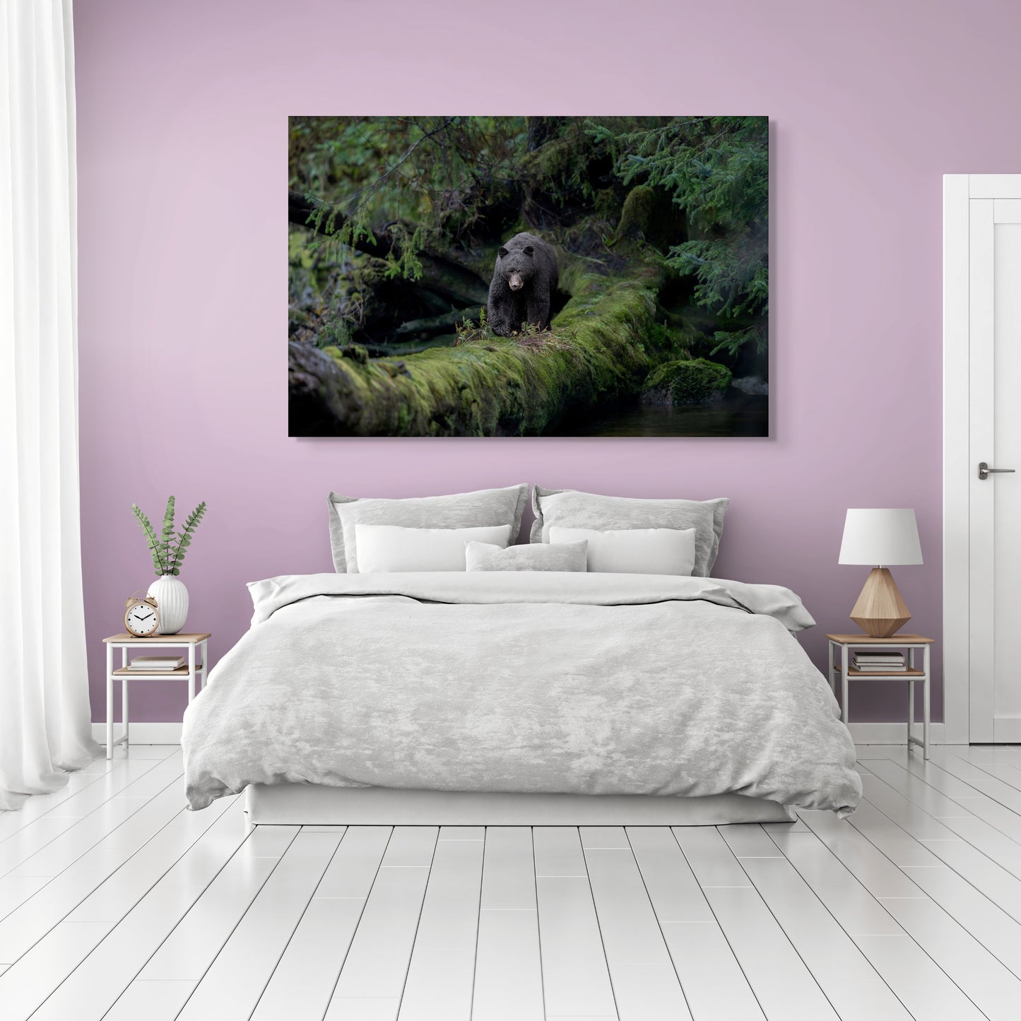 Black Bear Walking on a Mossy Log