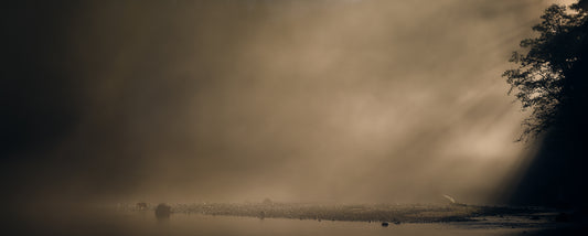 Foggy Salmon River