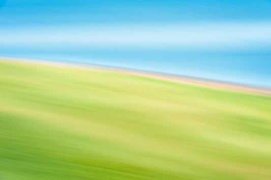 Dune Grass Abstract