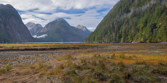 Fjordland Estuary