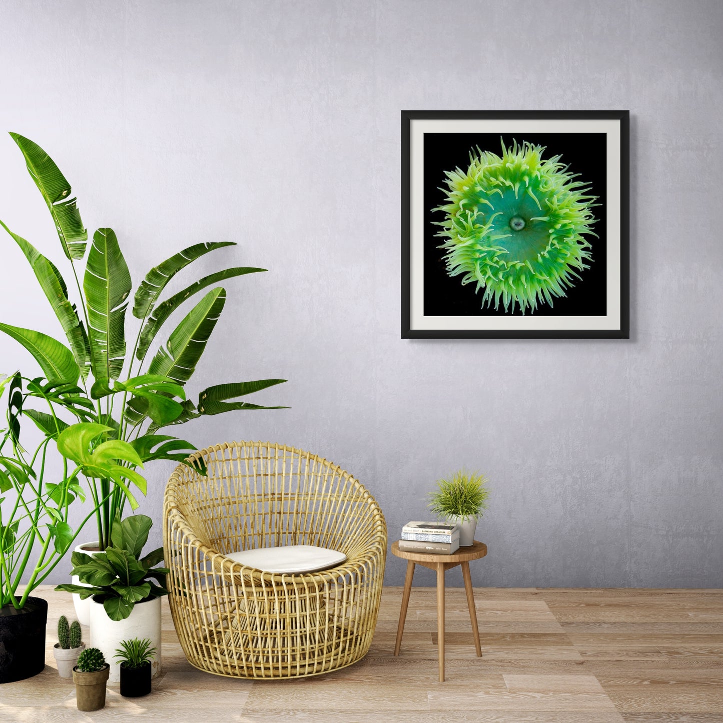 Green Sea Anemone Portrait