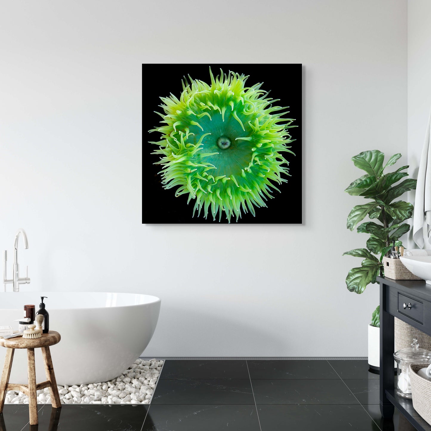 Green Sea Anemone Portrait