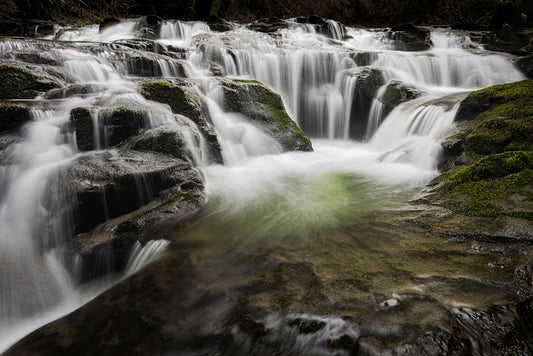 A Green Pool