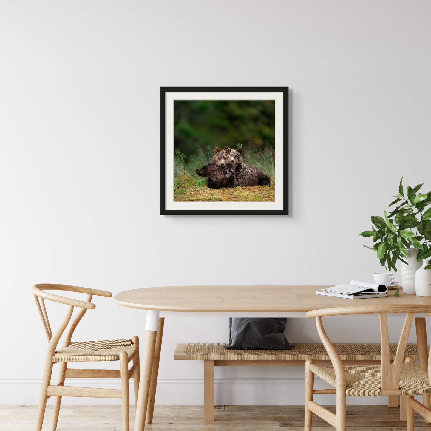 Grizzly Cubs Showing Feet