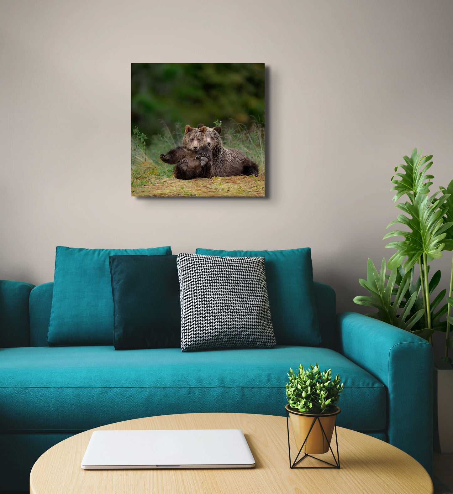 Grizzly Cubs Showing Feet