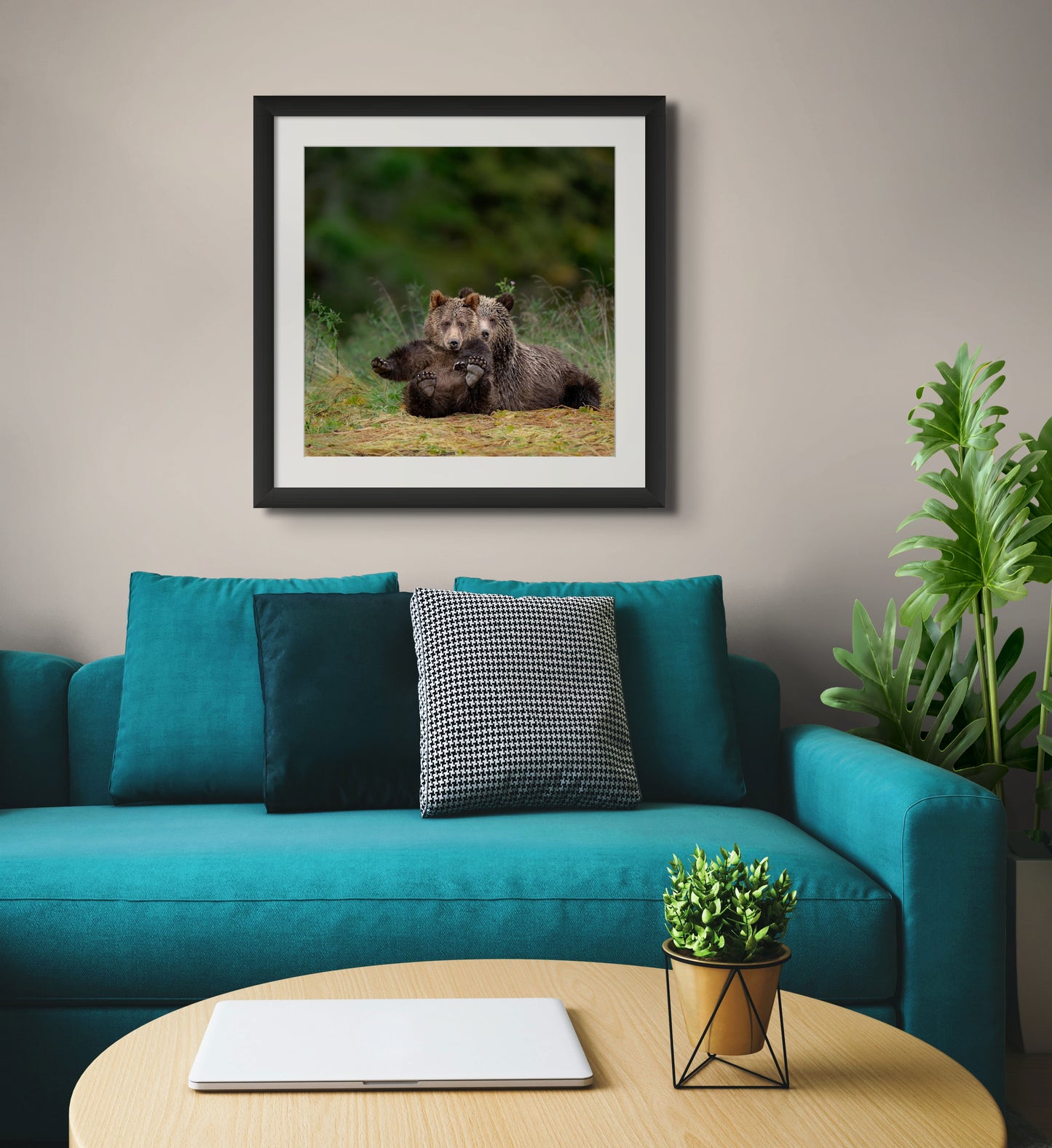 Grizzly Cubs Showing Feet