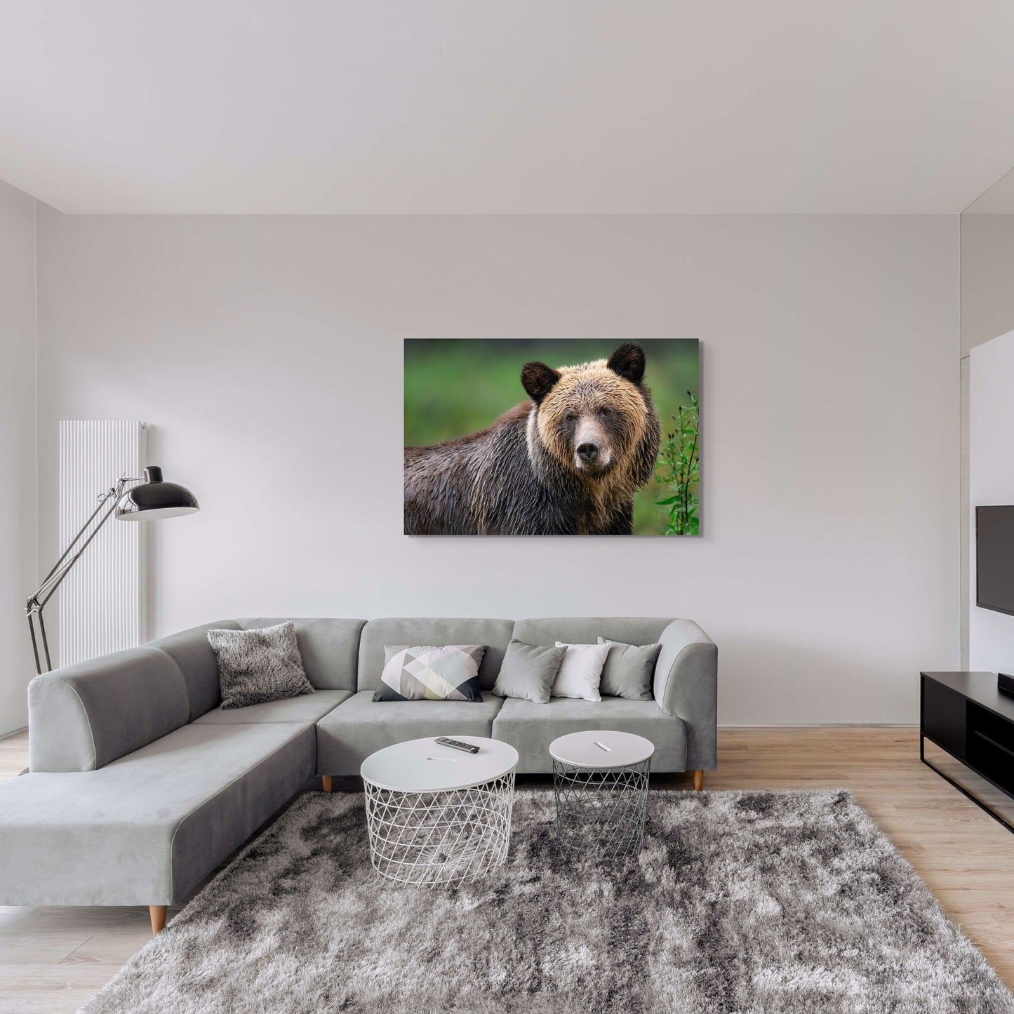 Grizzly Portrait with Green Background