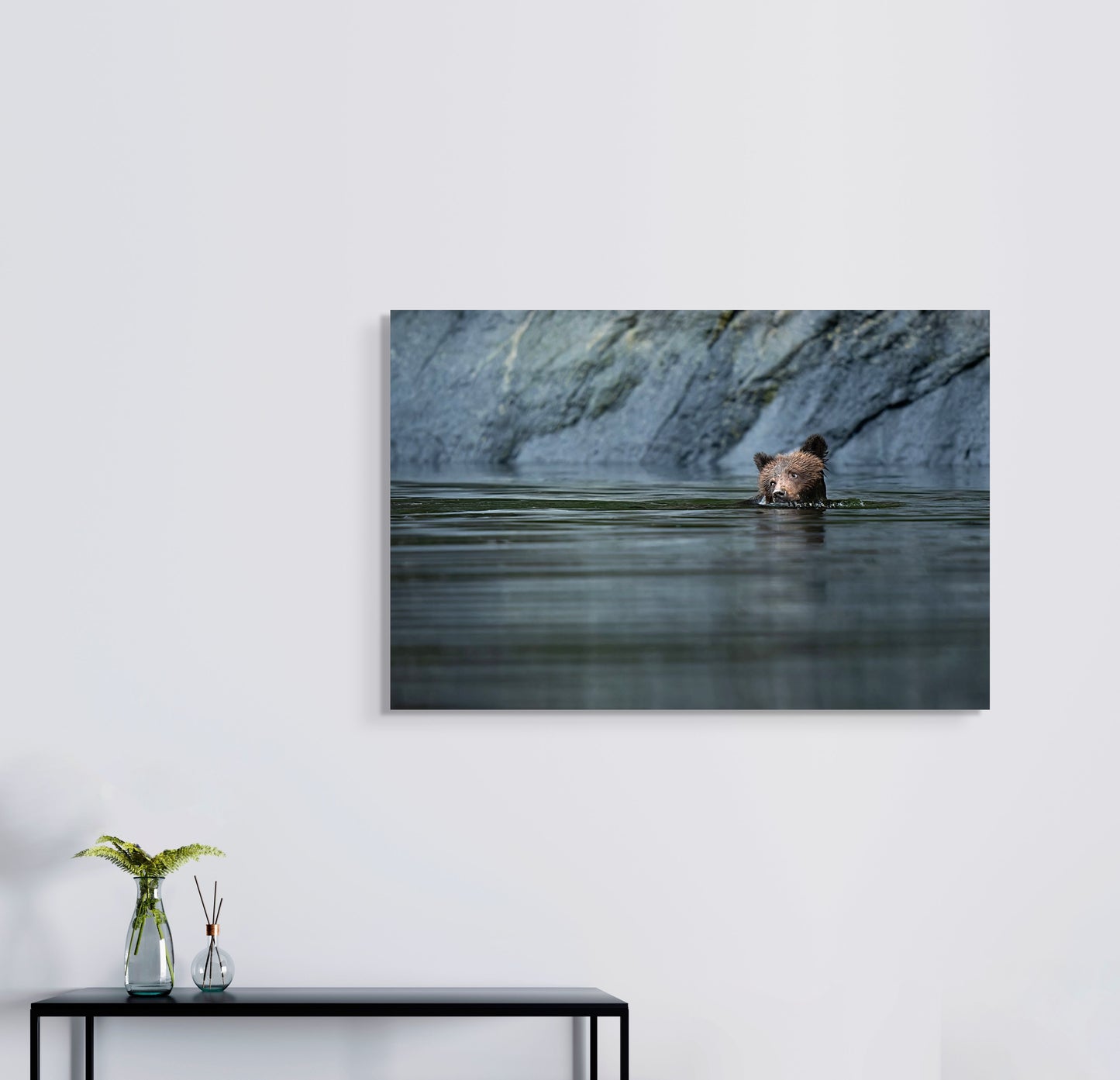 Grizzly Cub Swims River