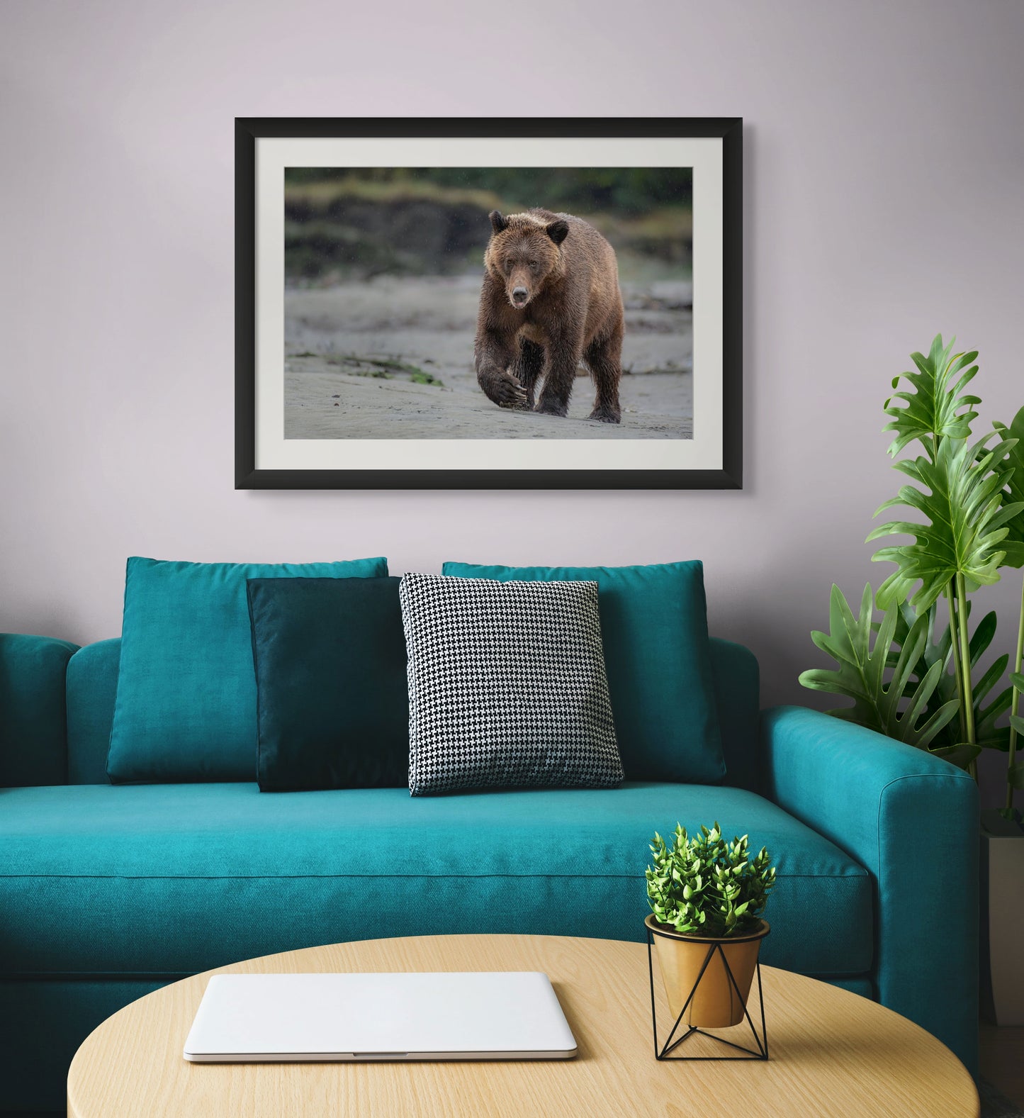 Grizzly Bear Walks Up Sandy Beach