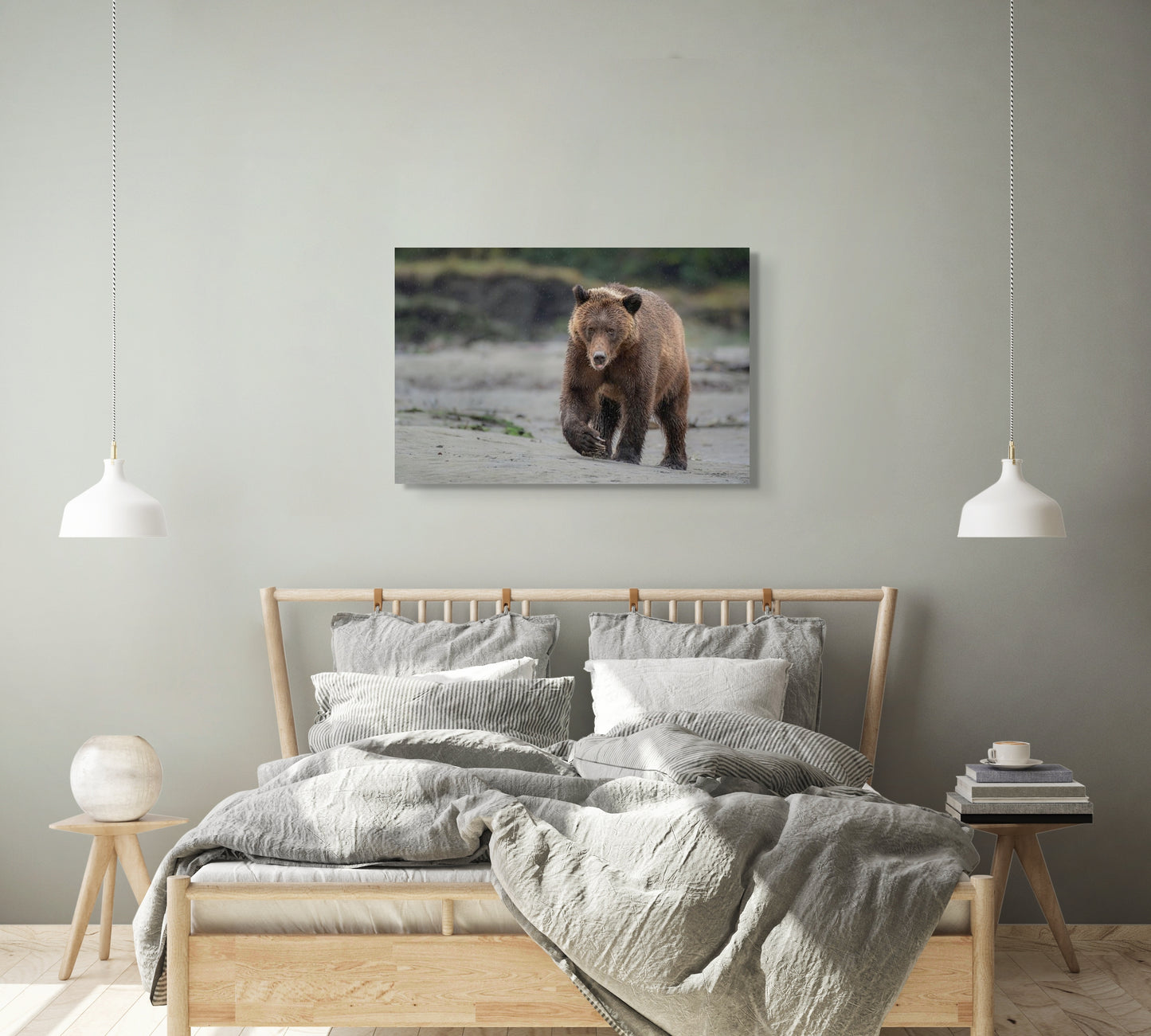 Grizzly Bear Walks Up Sandy Beach