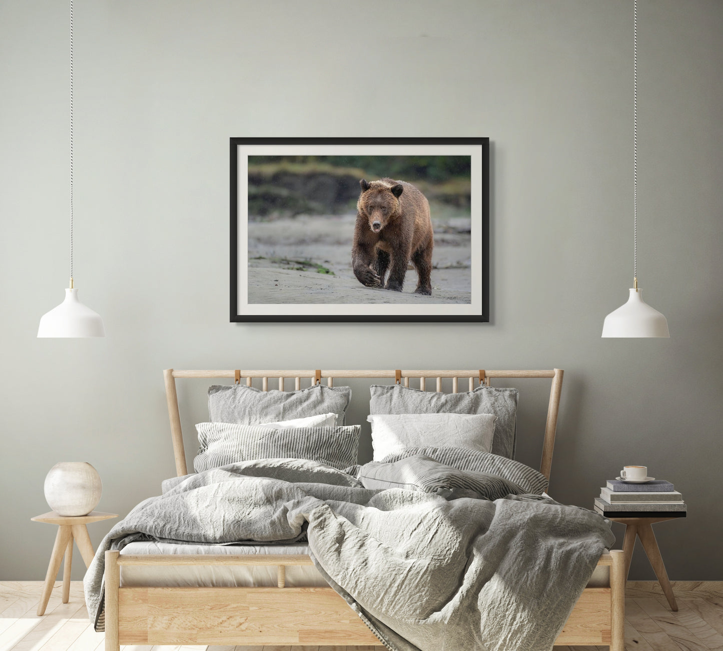 Grizzly Bear Walks Up Sandy Beach