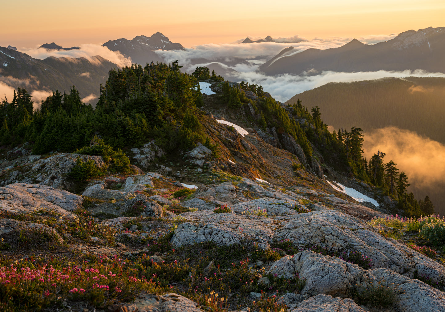 Coastal Mountain Views