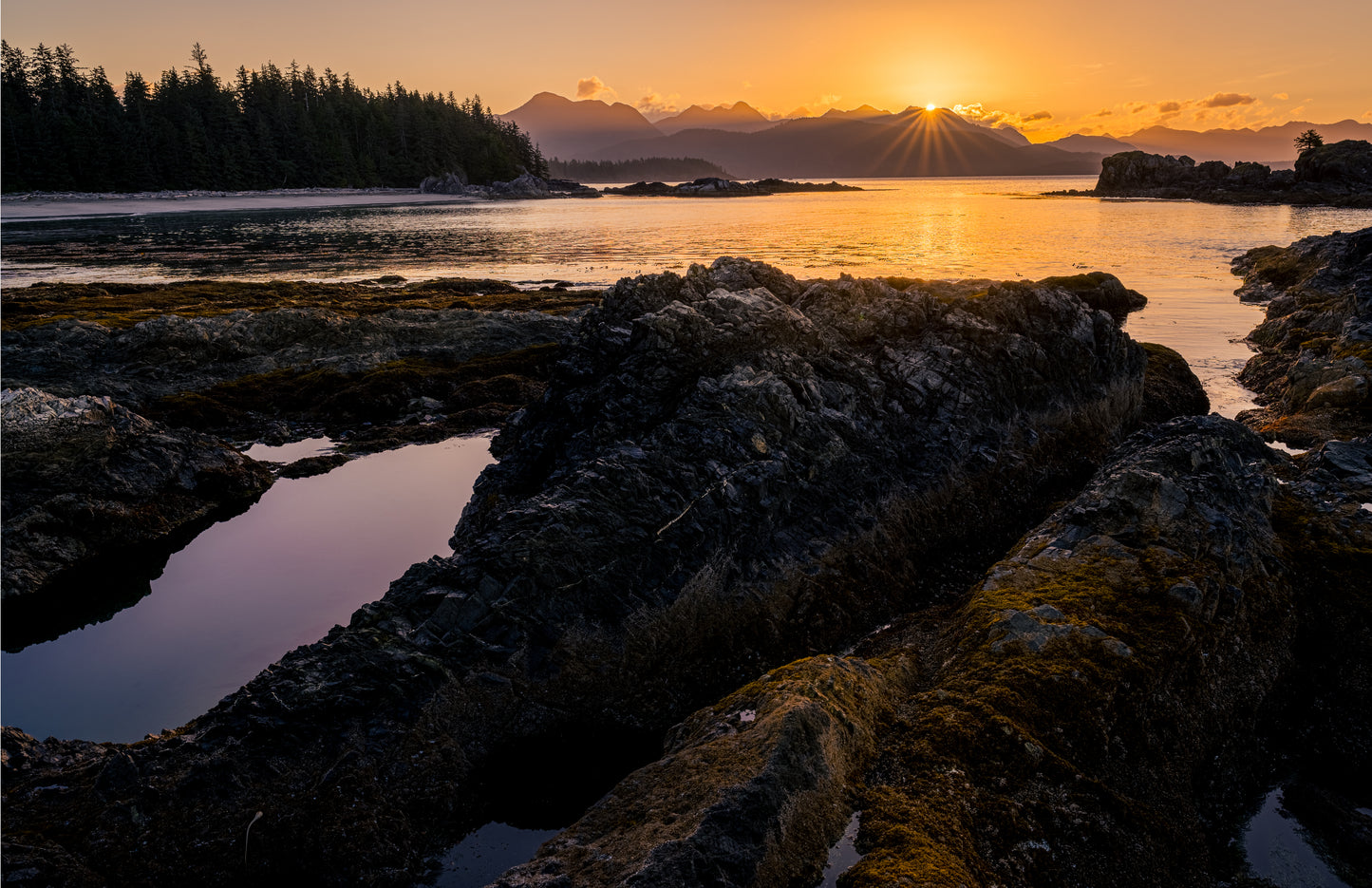 Northern Vancouver Island Scenics