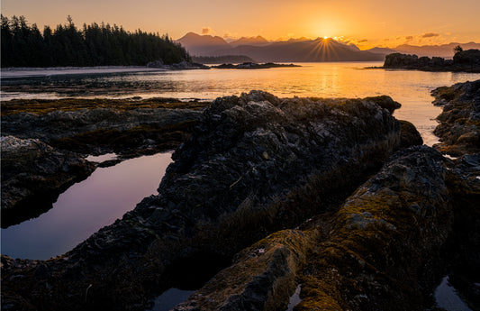 Art Card: Sunrise and Tide Pool