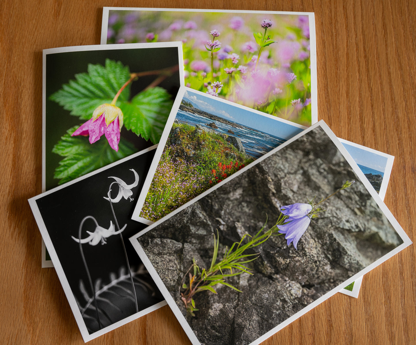 Vancouver Island Wildflowers