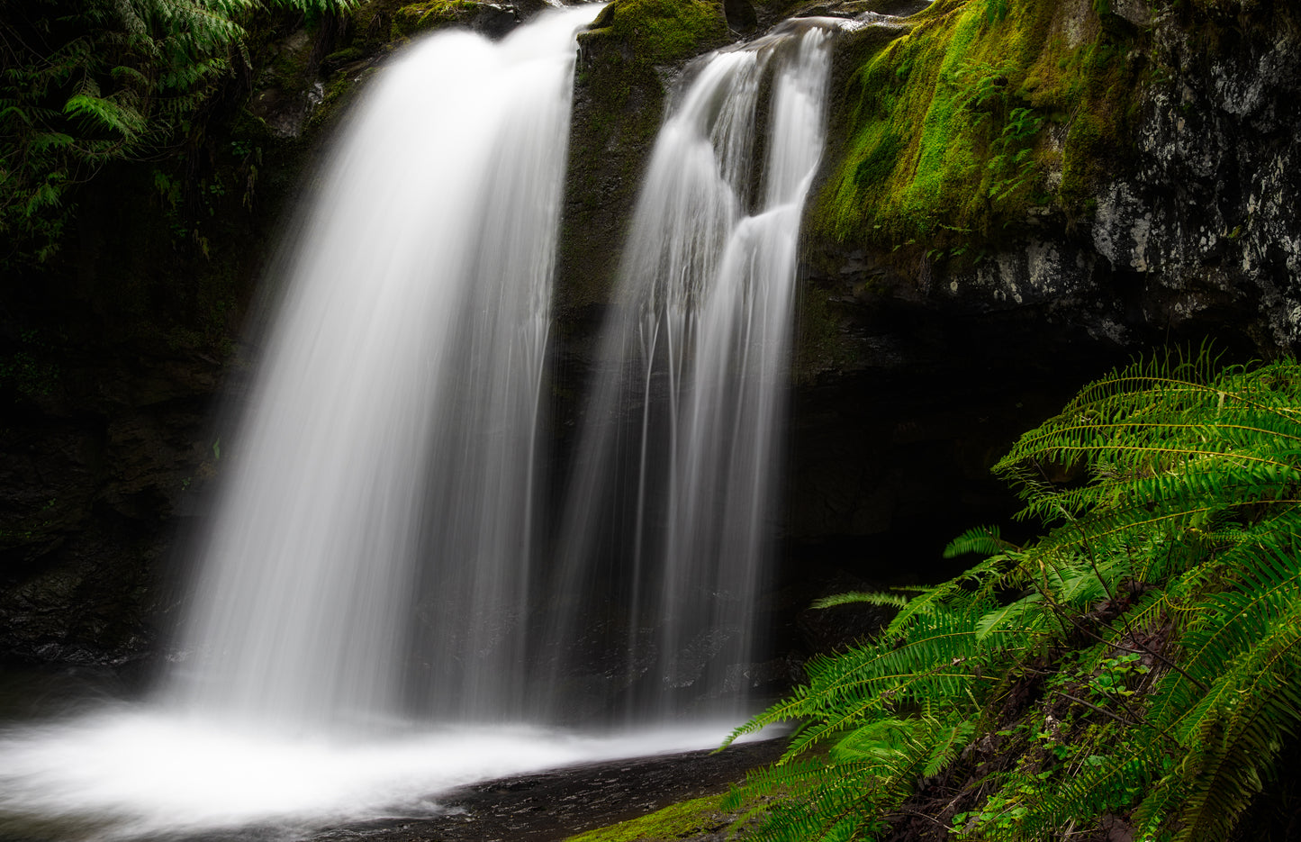 Art Card: Waterfall and Ferns