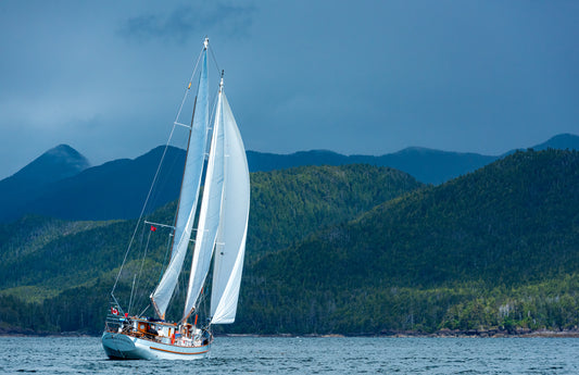 Art Card: Haida Gwaii Winds