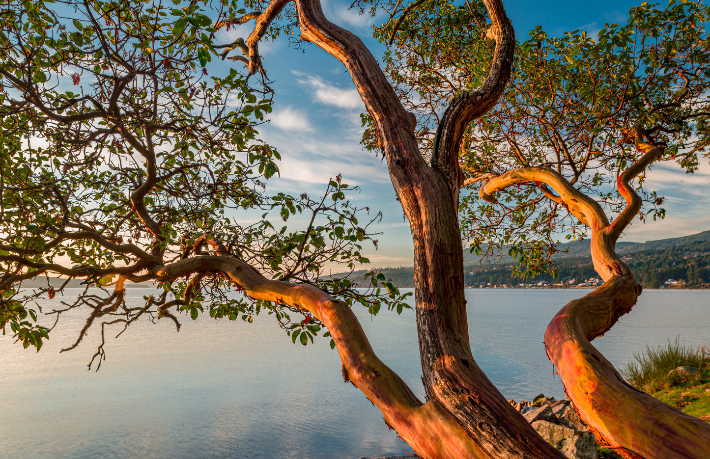 Gulf Islands National Park and Salish Sea