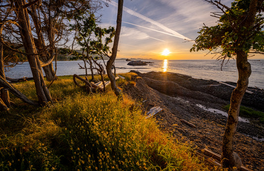 Art Card: Salish Sea Sunrise