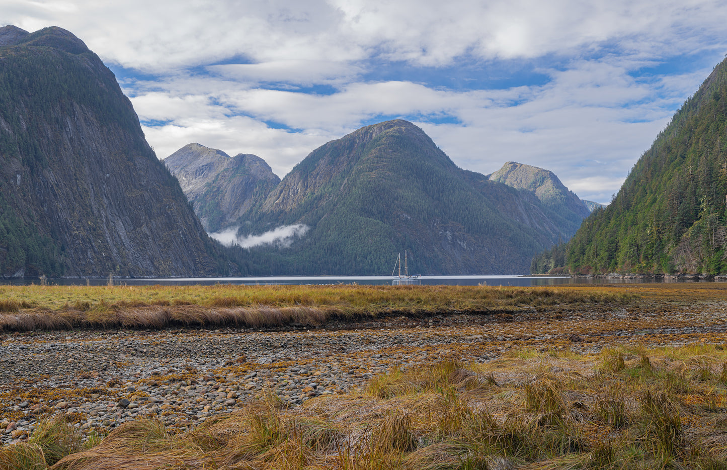 Art Card: Great Bear Rainforest Grand Estuary