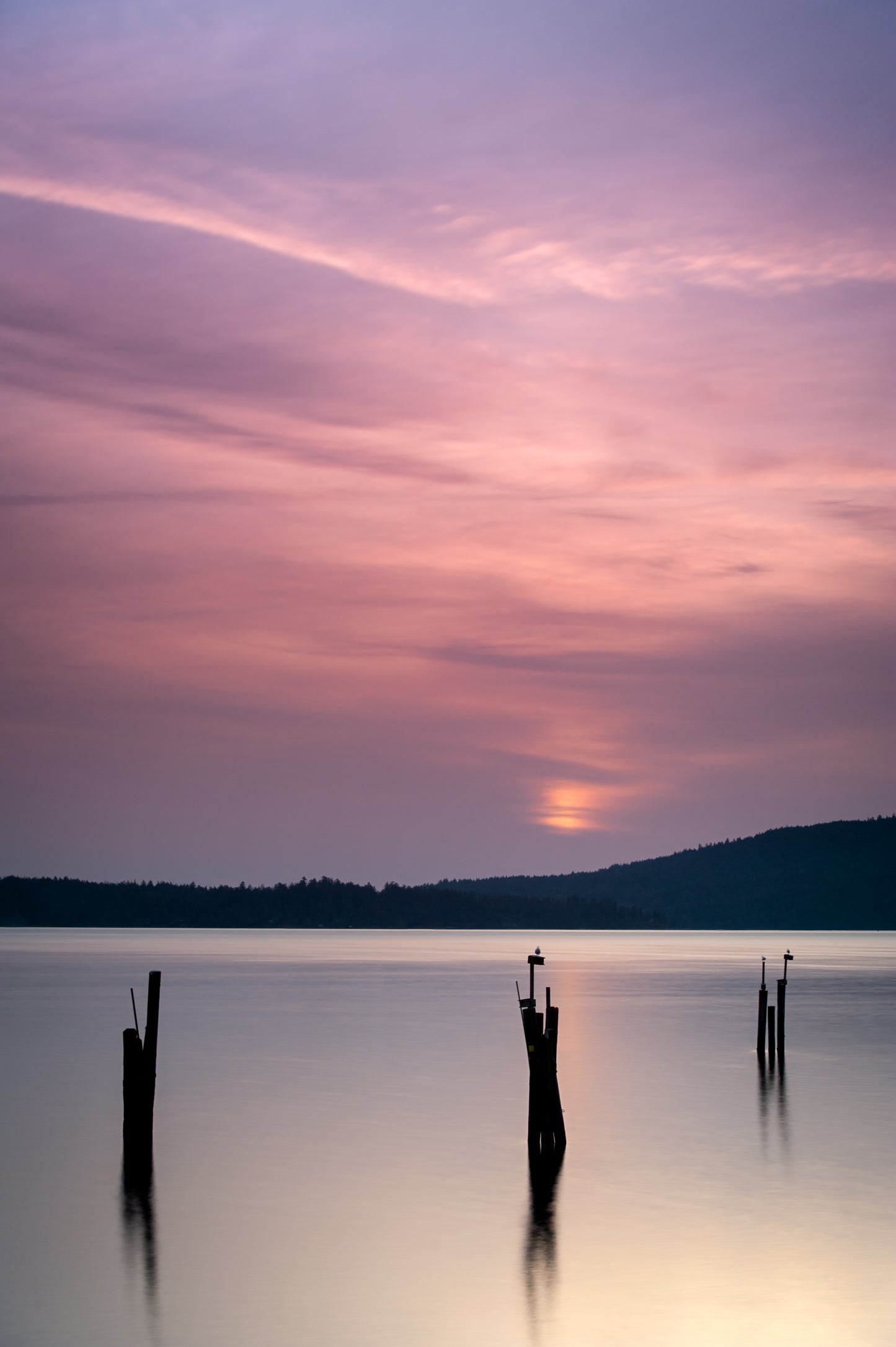 Purples and Pilings