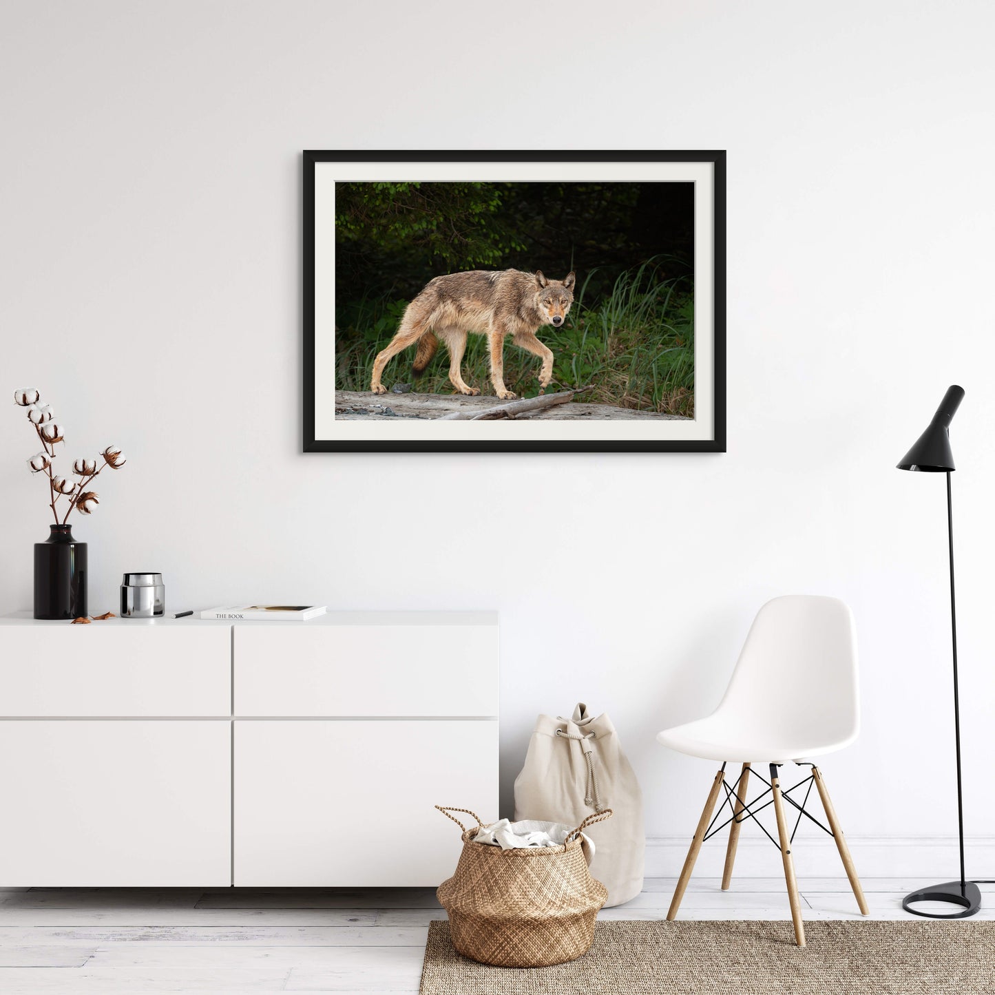 Coastal Wolf Trots on a Log