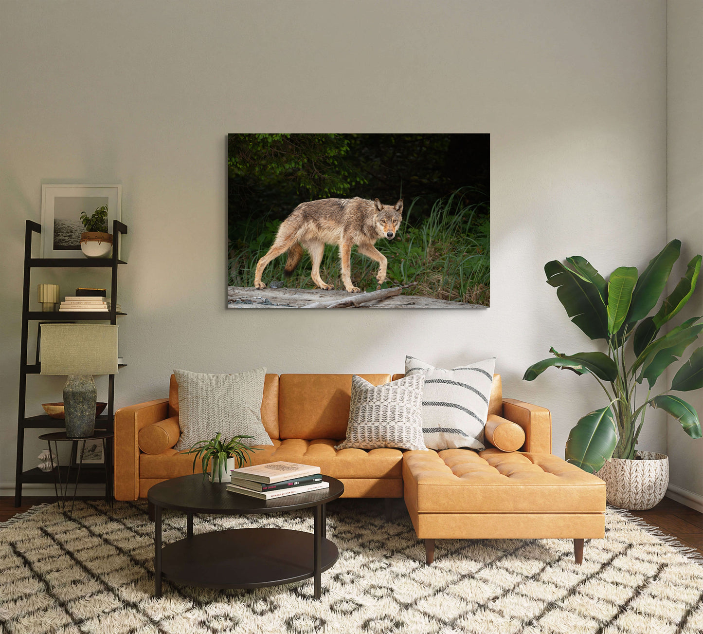 Coastal Wolf Trots on a Log