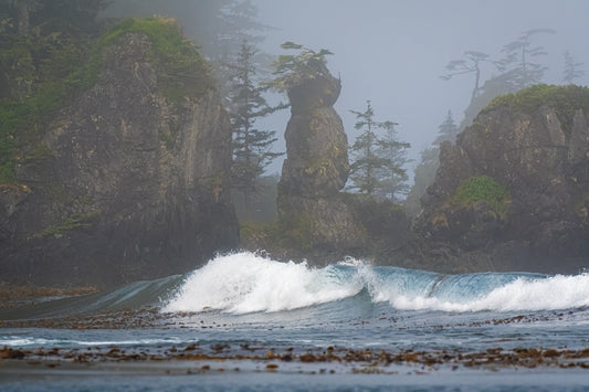 Misty Seastack and Surf