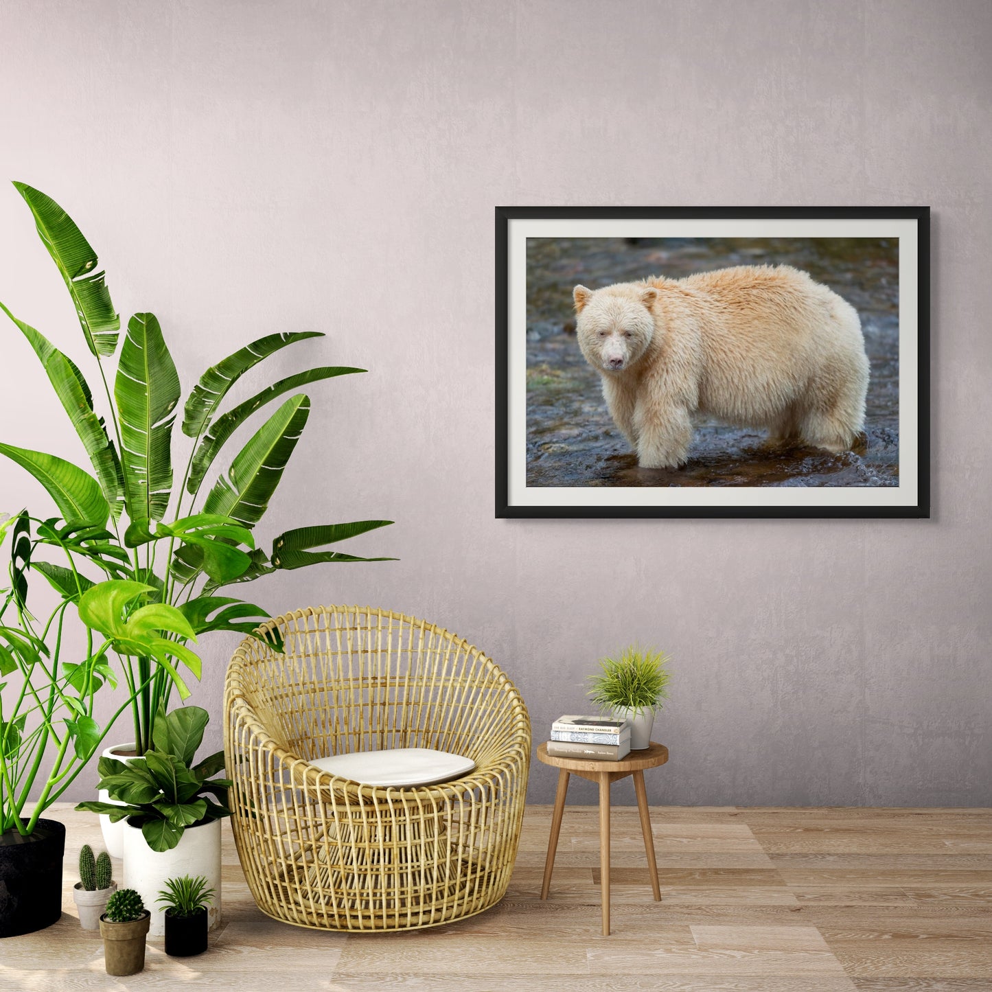 Spirit Bear in a Stream