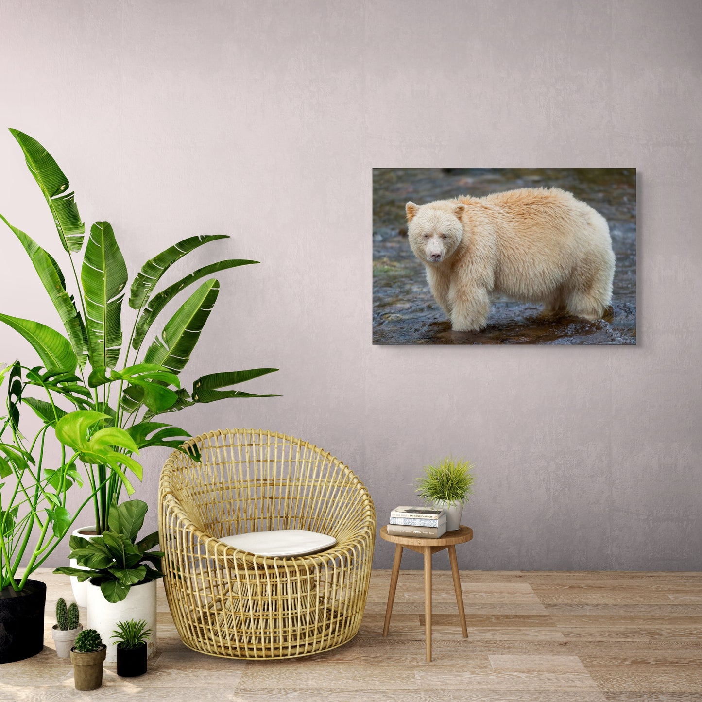 Spirit Bear in a Stream