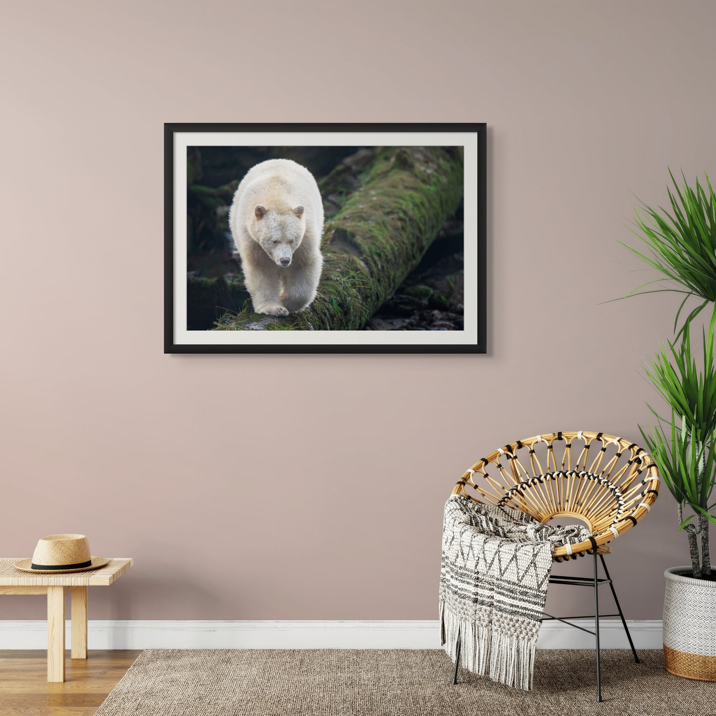 Spirit Bear Walks a Log