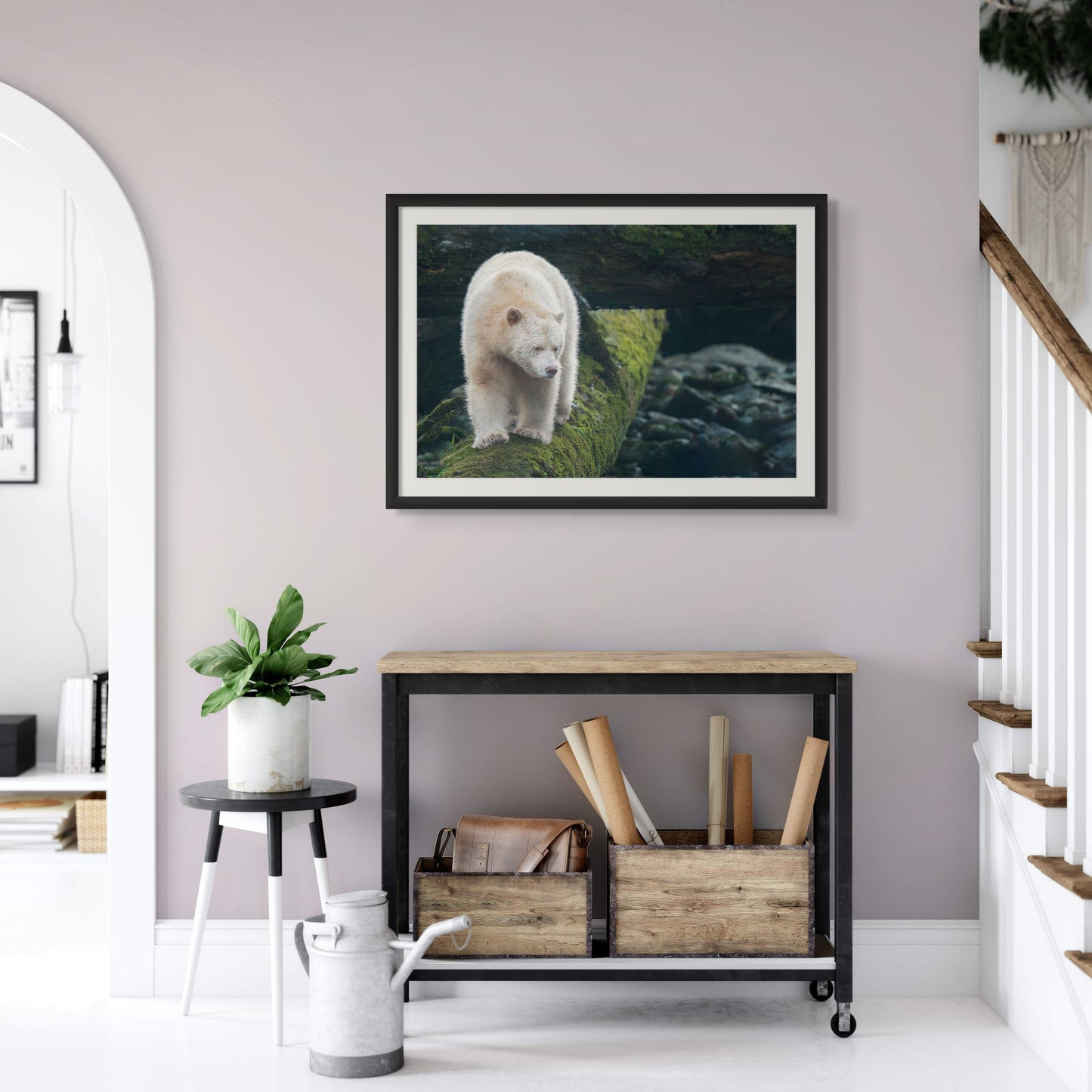 Spirit Bear Looks Off Mossy Log