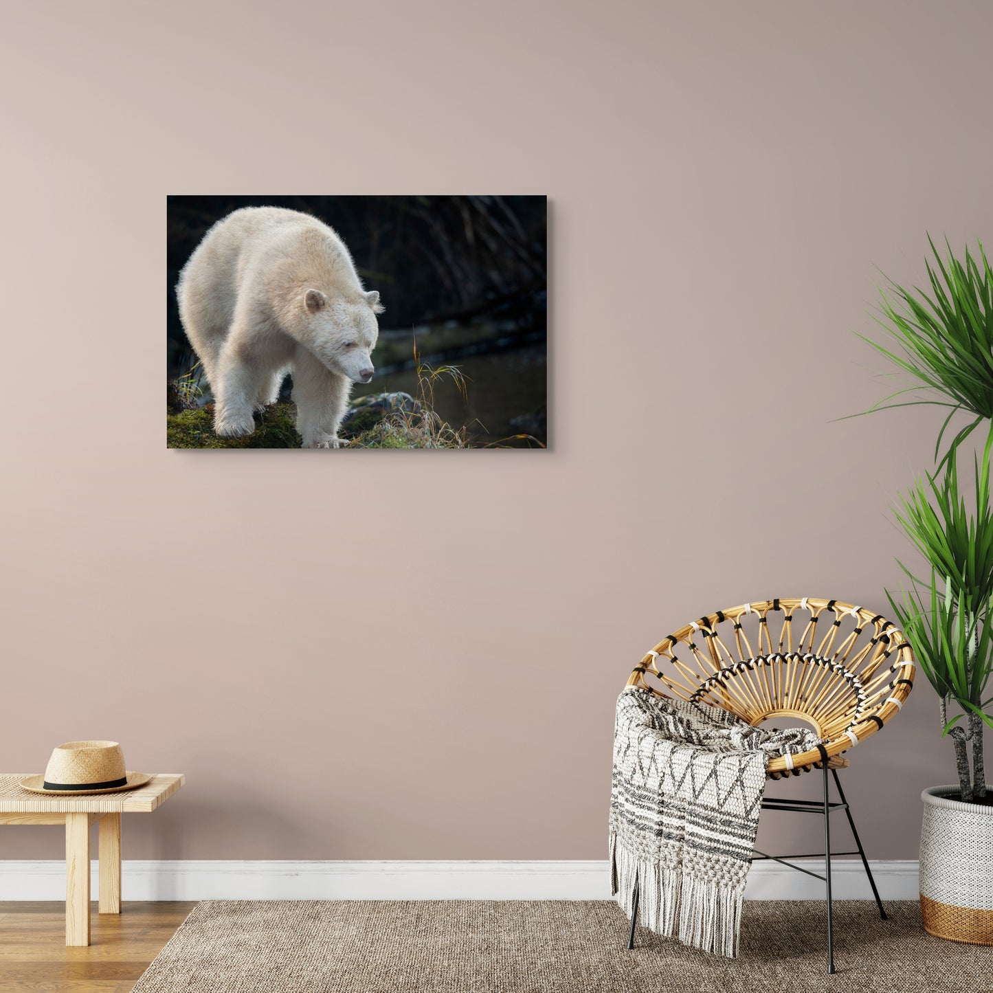 Spirit Bear Peers Past Grass