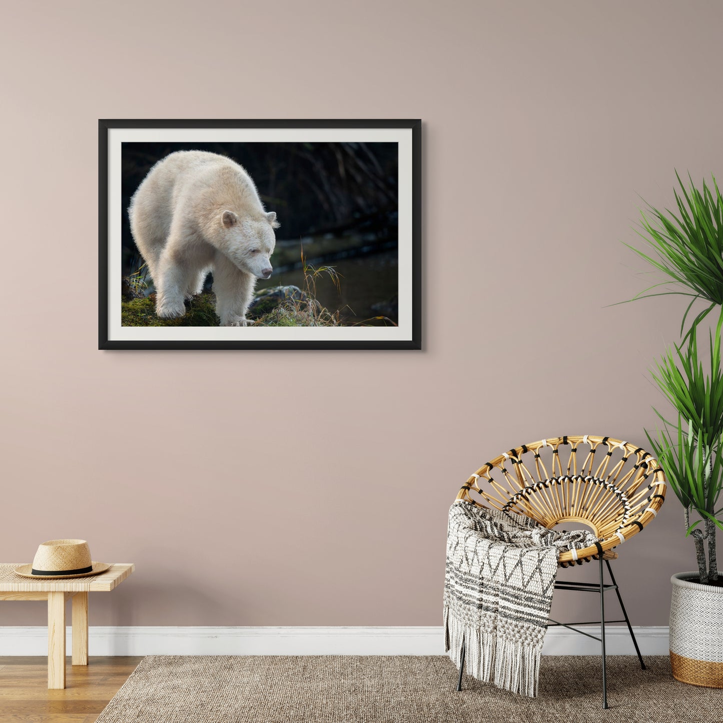 Spirit Bear Peers Past Grass