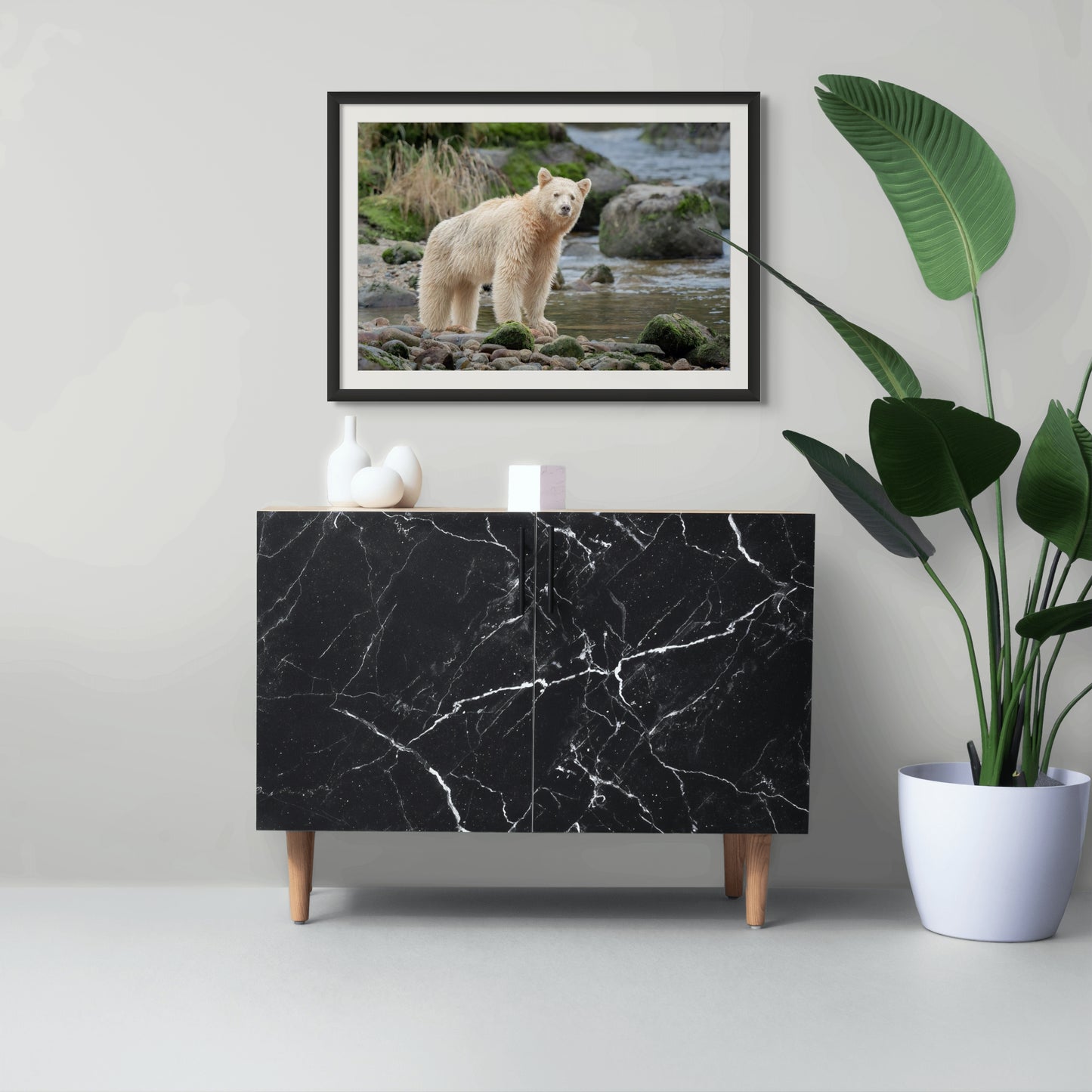 Spirit Bear Scans For Competition