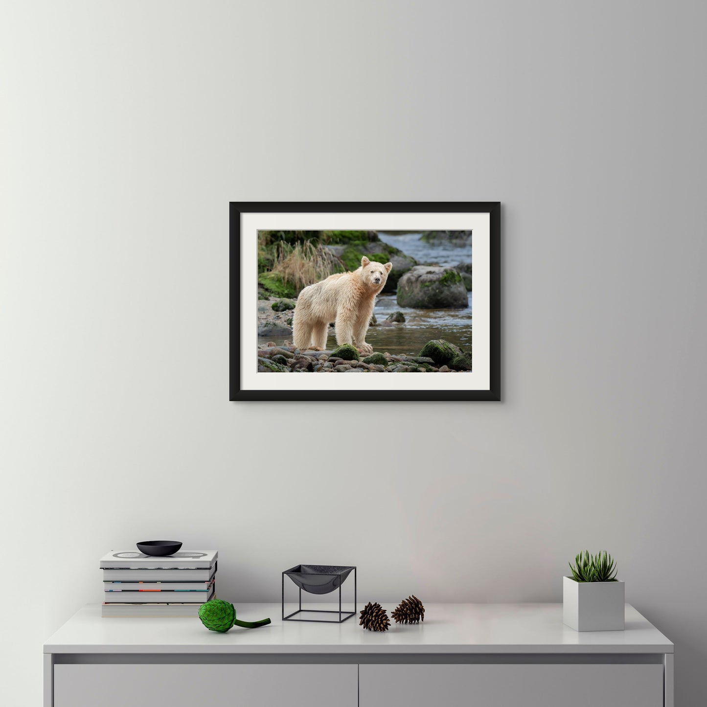 Spirit Bear Scans For Competition